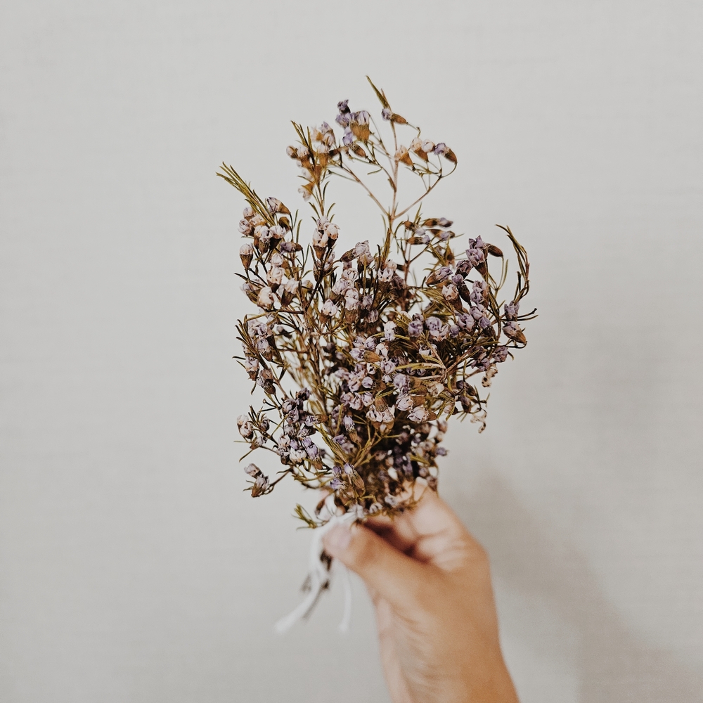 Bundle of Small NaturalDried Purple Flowers - Picture 2 of 5